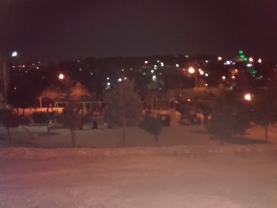 Photos of Princess Salma Garden
