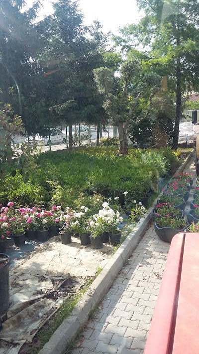 Photos of Tepek&ouml;y Playground
