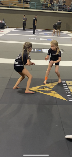 STMA Brasa - Brazilian Jiu Jitsu - Thumbnail