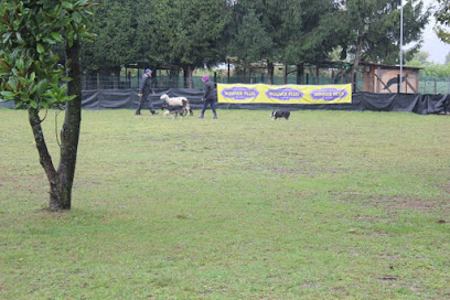 Il Signore degli Agnelli