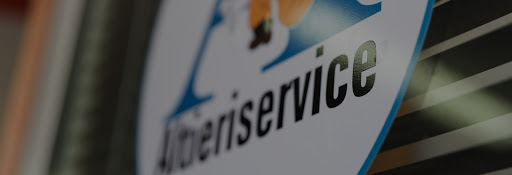 Altieri Service | Caldaie | Condizionatori | Sistemi Solari Logo