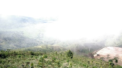 Photos of Villa Alam Flores