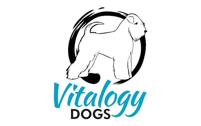 Vitalogy Dogs