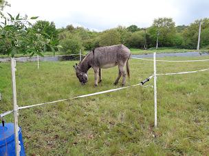 Photo n°38 de Camping des Deux Moulins à Bourg-des-Comptes (Terrain de camping)