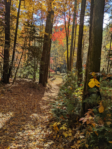 Upper Falls Backcountry Campground - Thumbnail