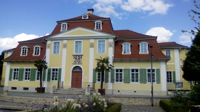Photos of Hainich National Park