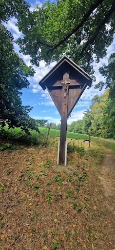 Wanderweg am Neuteichwasser - Thumbnail