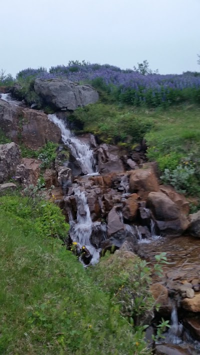 Photos of Tjaldst&aelig;&eth;i