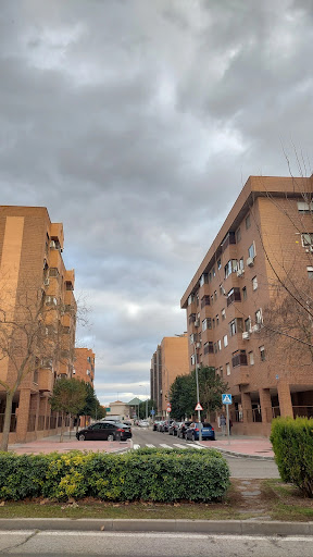 Tecnocasa agencia inmobiliaria Mancha amarilla-Juncal