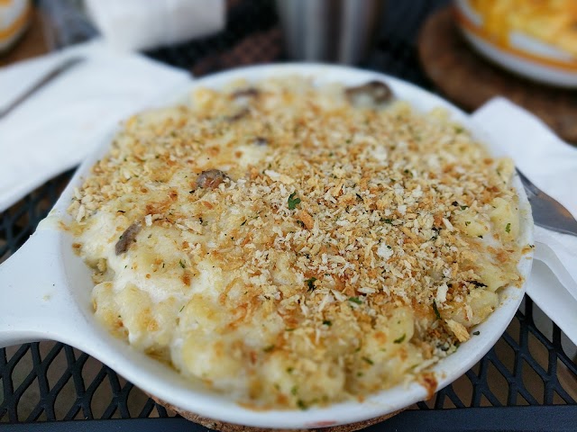 Elbows Mac N Cheese