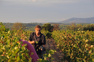 Photo n°5 de Domaine du Vent-Terral à Sigean (Établissement vinicole)