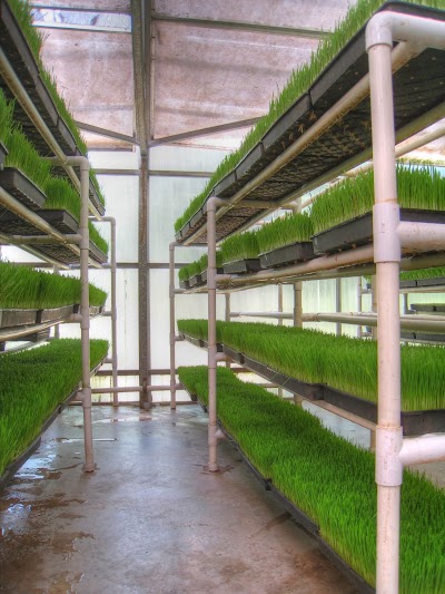 Photos of Hippocrates Health Institute