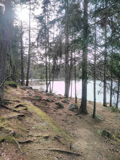Rastplats Lillsjön - Thumbnail