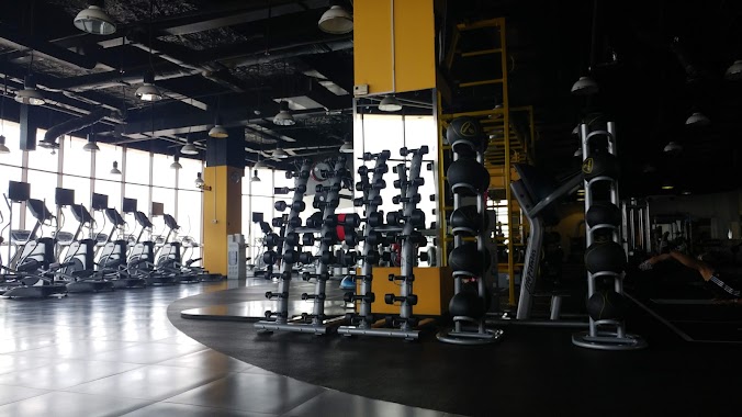 Gold's Gym, Author: harwindra yoga prasetya