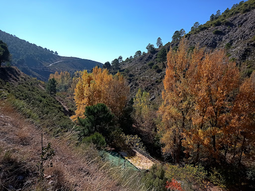 Nacimiento del Río Darro