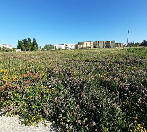 Le Vigne - Visual
