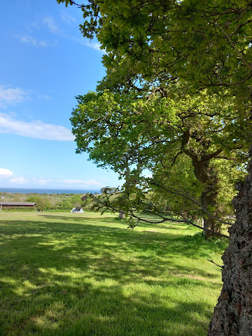 Oxwich Camping Park by null