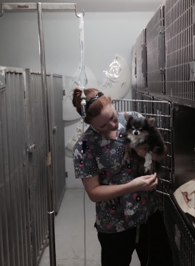 Photos of Silver Springs Shores Animal Hospital