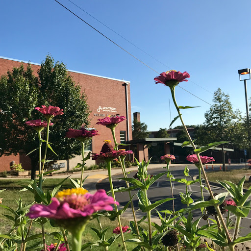 William Randolph School