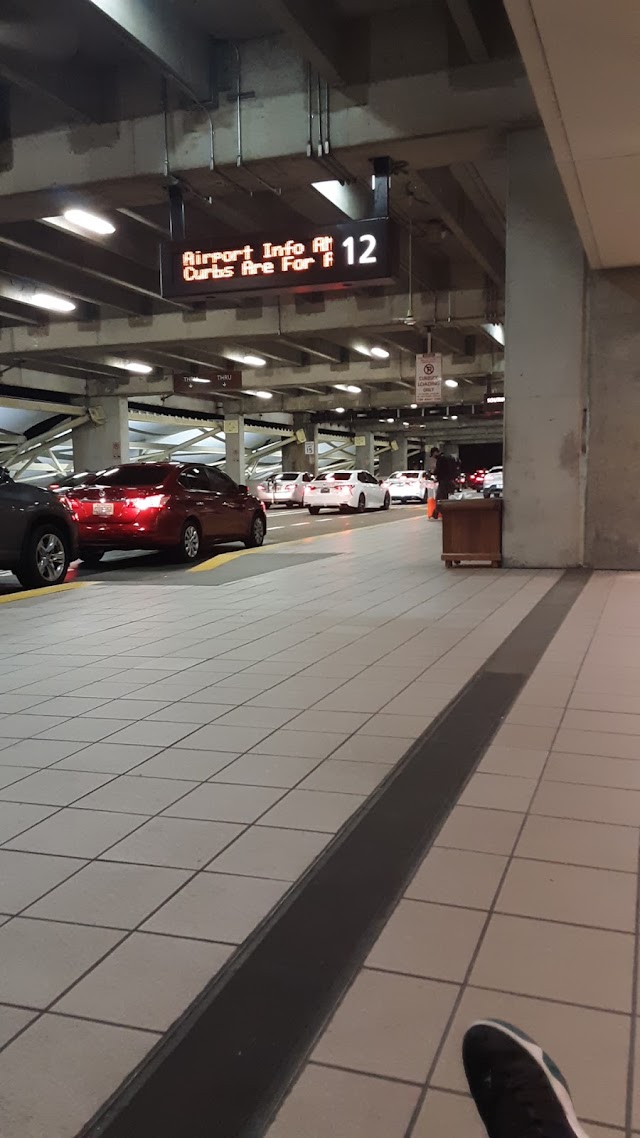 Avis Car Rental