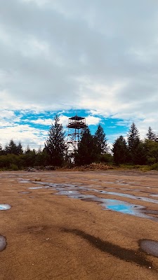 Metlakatla - Image 3