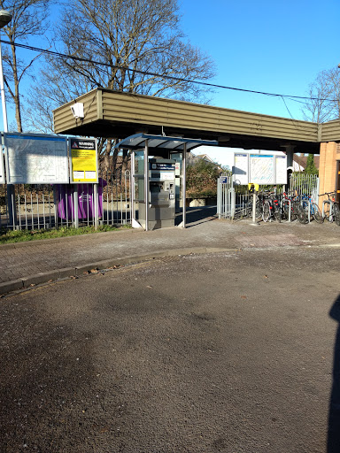 Shepperton - Visual