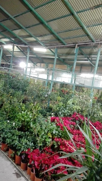 Photos of Al Bader Agricultural