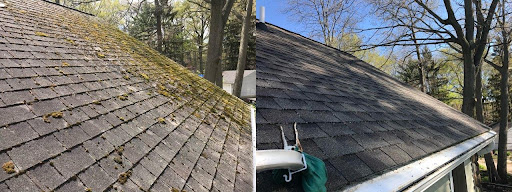Torch Window Cleaning - Visual