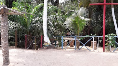 lodging