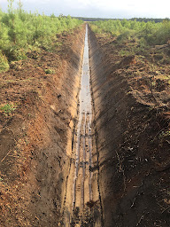 Photo n°13 de Bernard Cigrand Travaux Publics et Forestiers à Saint-Julien-en-Born (Service forestier)