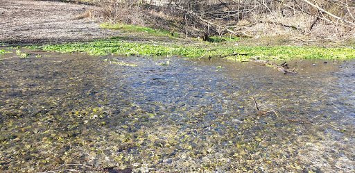 Biberteich - Thumbnail