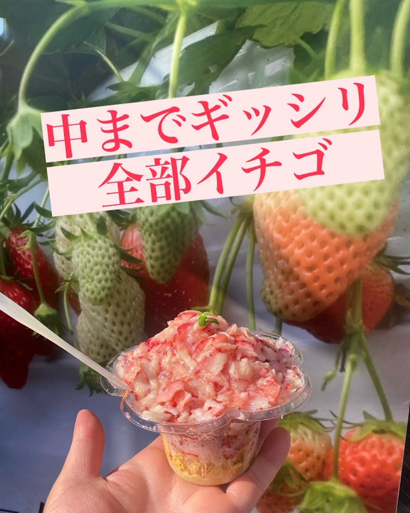 ふわふわイチゴ100% かき氷オクノ