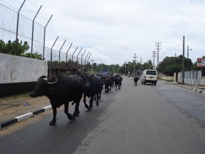 Photos of Police Station