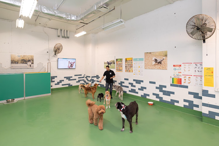 Throw Me A Bone Inc. / Dog Daycare, Grooming and Boarding