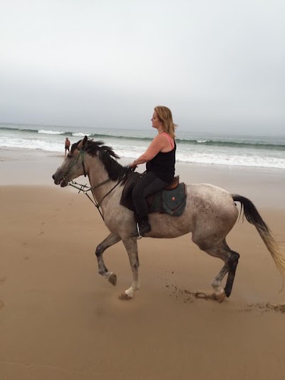 Photos of Randonnees Cheval Taghazout