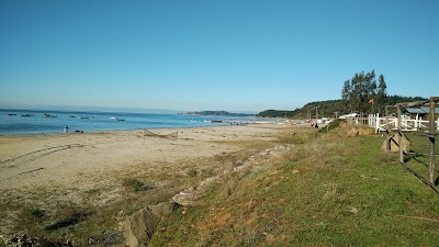 Photos of Playa de Llico