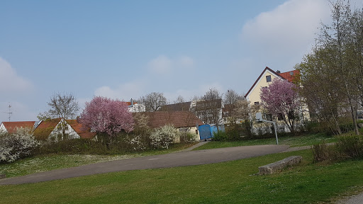 Kriegshaber - Visual