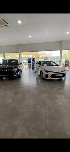 https://www.seyssinetalpesauto.fr/