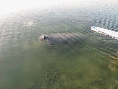 Photos of Otherside Boardsports