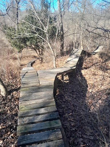 Skills Trail - Visual
