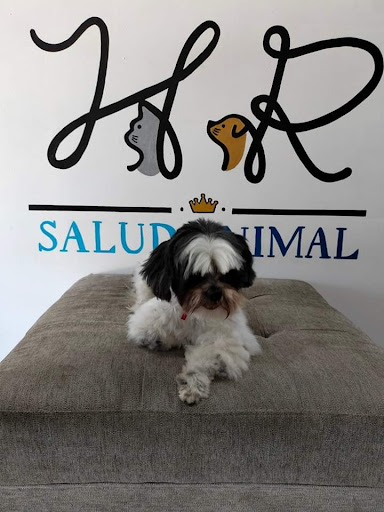 Veterinaria Salud Animal