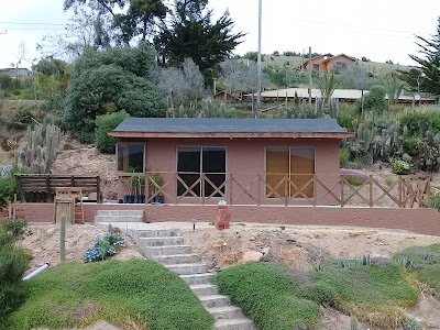 Photos of Hijuela Los Olivos. Mincha Sur