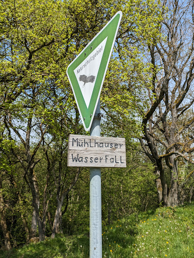 Mühlhauser Naturbadewelt - Thumbnail