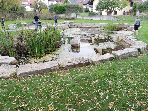 Ortsteich Münklingen