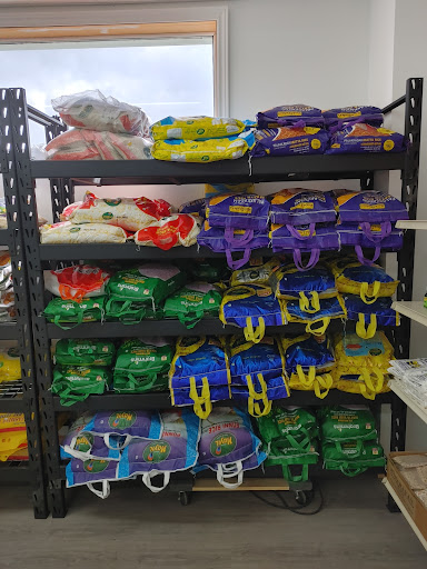 Asian G Mart - Thumbnail