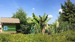 Photo n°6 de Terreau Flore Bleue à Notre-Dame-de-Bliquetuit (Terrain de football)