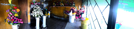 Floristería El Paraiso de Las Flores - Thumbnail