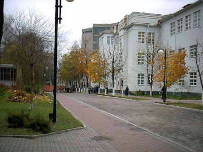 university