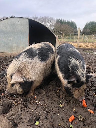 Nick's Farm - Visual