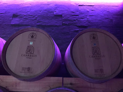 Bodegas Carralus Camino de las Bodegas, s/n, 24250 Méizara, León, España